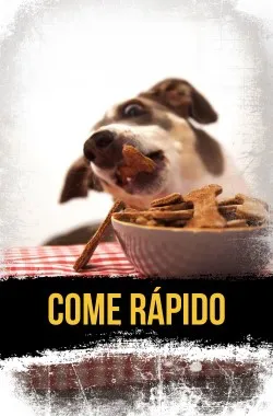 Comendo-rapido.webp
