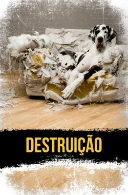 destruicao.webp