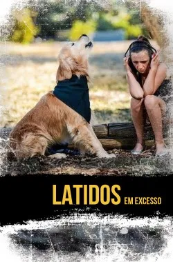 latidos-excessivos.webp